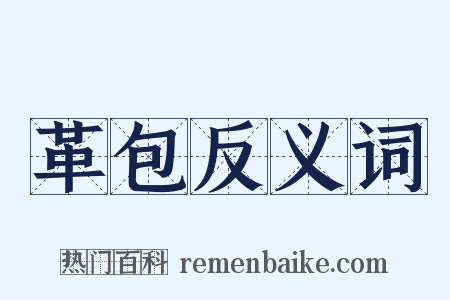 革包反义词是什么意思的图片